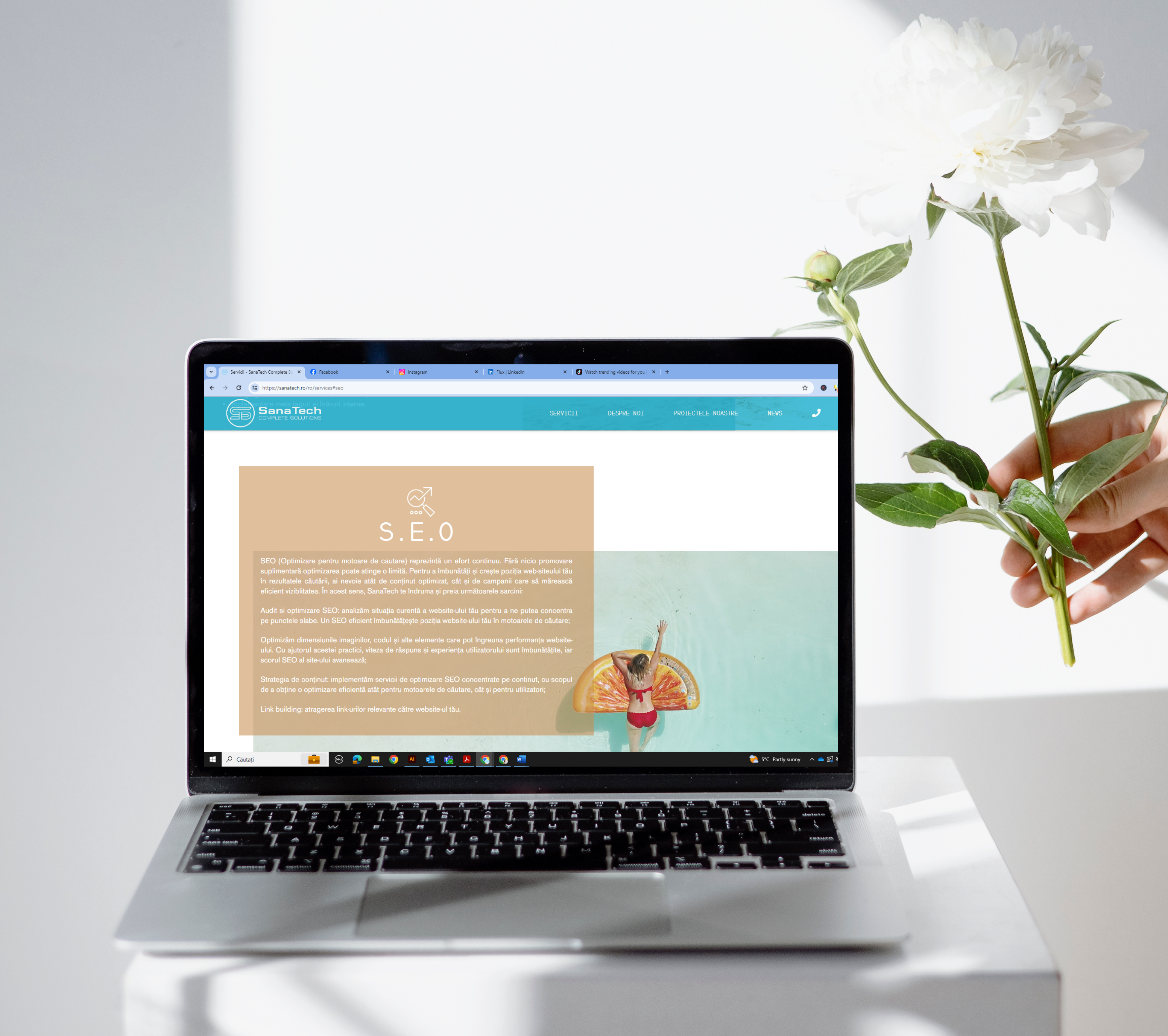 servicii seo brasov