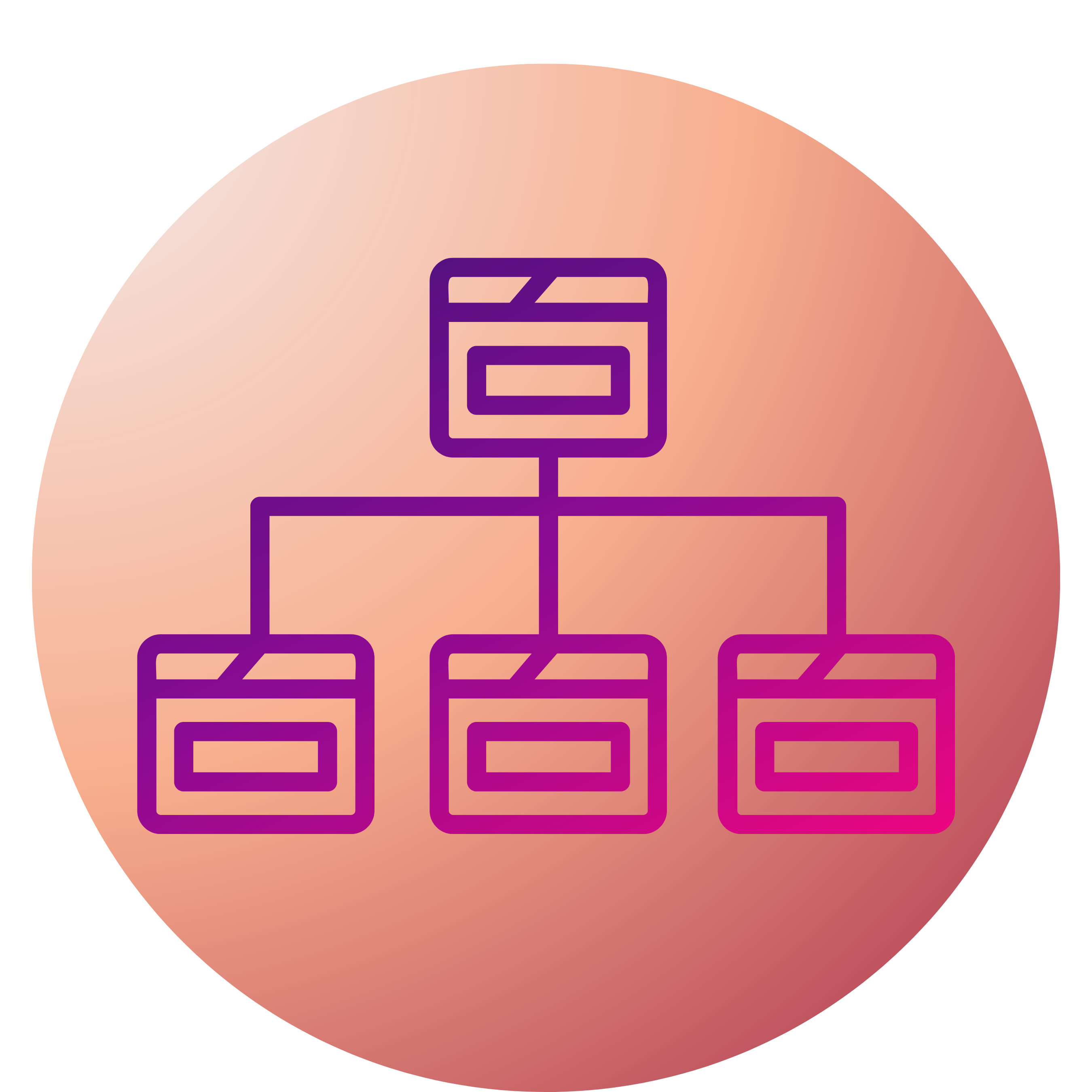 servicii web development